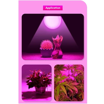 LED Grow Light Phytolamp Augalams Lempos Visą Spektrą Augti Palapinė Žibintai Augti Žiburiai Patalpų Apšvietimas Augalų Lemputė E27 6Pcs Nuotrauka 3