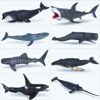 Modeliavimo Jūrų Gyvybės Ryklys Žaislas Banginis Gyvūnų Modelio Bowhead Banginis Mėlynasis Banginis Didysis Baltasis Ryklys Vaikų Pažinimo Dovana Nuotrauka 0