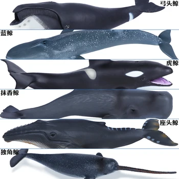Modeliavimo Jūrų Gyvybės Ryklys Žaislas Banginis Gyvūnų Modelio Bowhead Banginis Mėlynasis Banginis Didysis Baltasis Ryklys Vaikų Pažinimo Dovana Nuotrauka 3