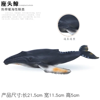 Modeliavimo Jūrų Gyvybės Ryklys Žaislas Banginis Gyvūnų Modelio Bowhead Banginis Mėlynasis Banginis Didysis Baltasis Ryklys Vaikų Pažinimo Dovana Nuotrauka 4
