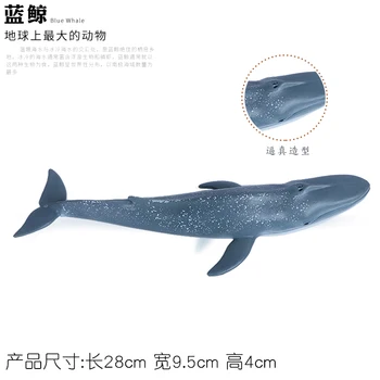 Modeliavimo Jūrų Gyvybės Ryklys Žaislas Banginis Gyvūnų Modelio Bowhead Banginis Mėlynasis Banginis Didysis Baltasis Ryklys Vaikų Pažinimo Dovana Nuotrauka 5