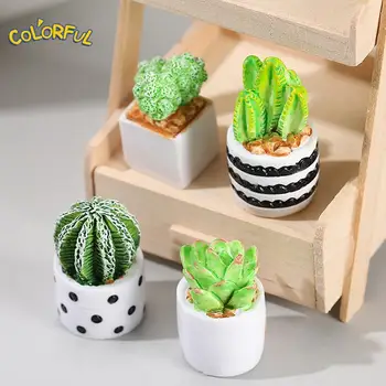 Modeliavimo Vazoninių Augalų Miniatiūriniai Lėlių Kaktusas Į Puodą Namų Dekoro Priedai miniatiūros 